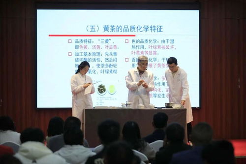 非遺活態傳承新篇章 黔北黃茶技藝選定黔東南代言人，推動茶文化深度交流